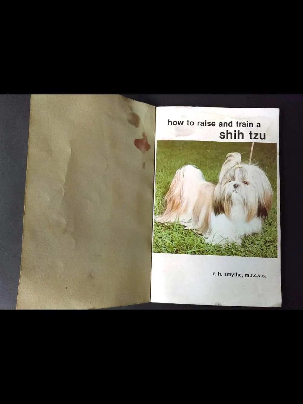 How To Raise And Train A Shih Tzu Dog Book Vintage 1983 R.H. Smythe, M.R.C.V.S.